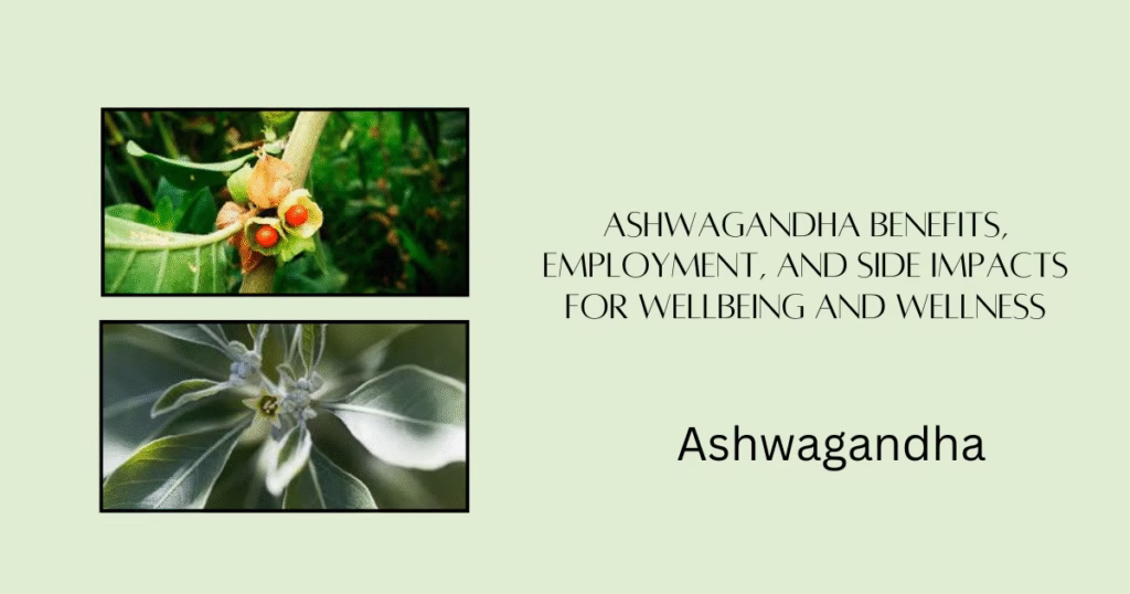 Fresh Ashwagandha plant and flowers
